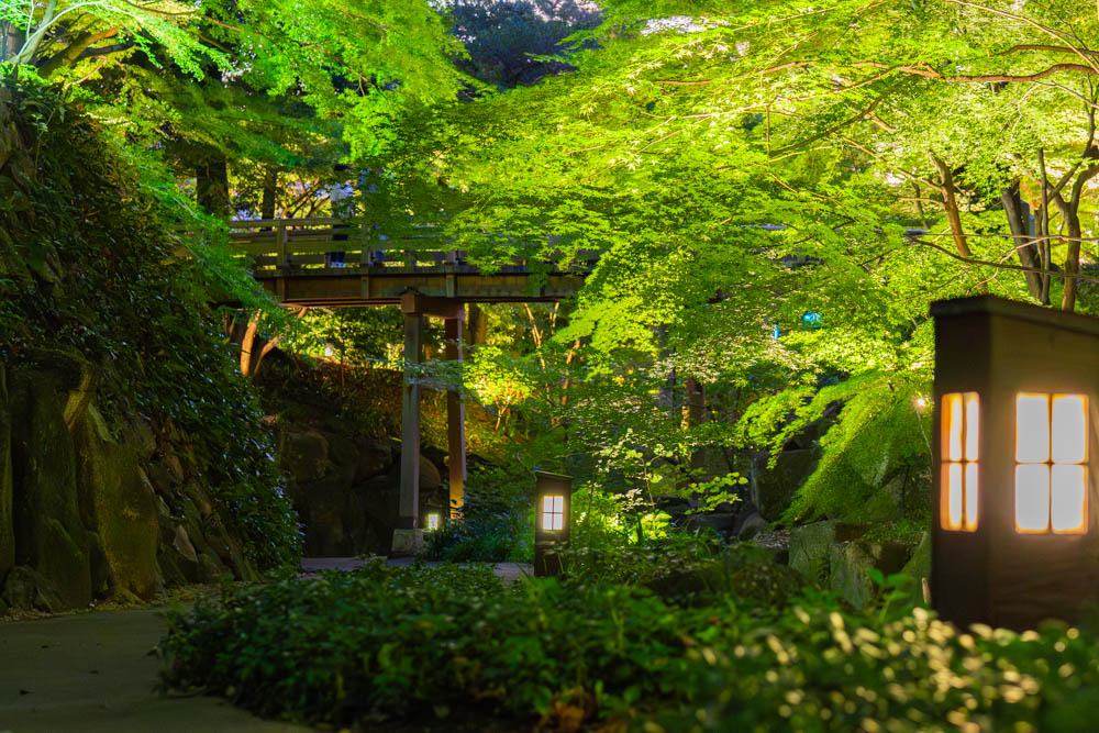 徳川園 虎の尾