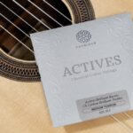 Knobloch（ノブロック）ADC33.5